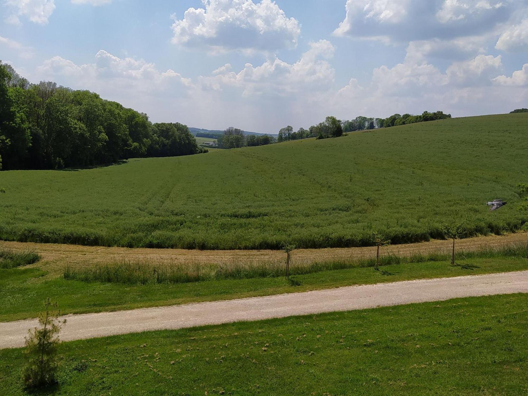 Gite Calme 4 Chambres, Terrasse Privative, Draps Inclus - Germonville - Fr-1-584-167 Exterior foto